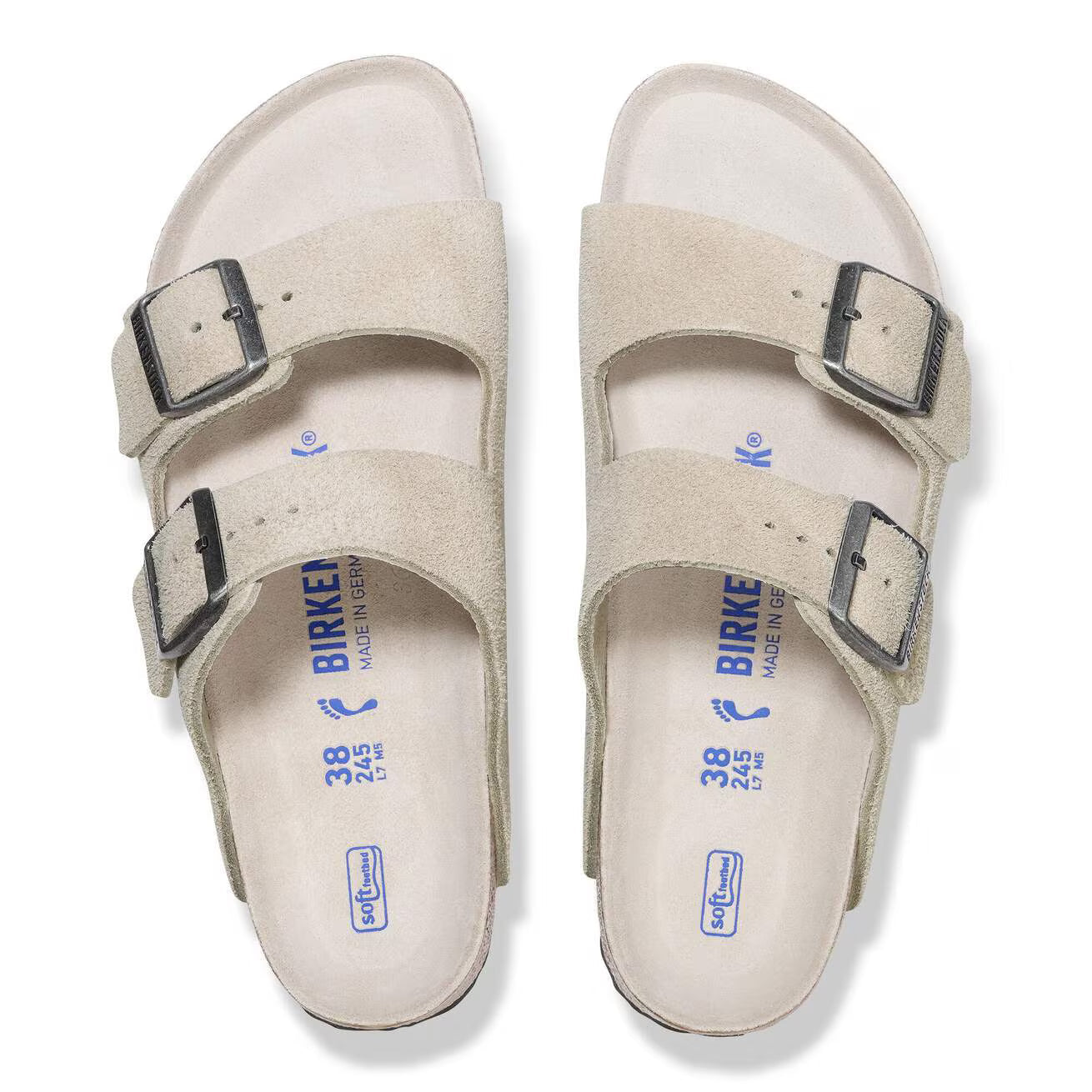 Arizona Oyster Tonal